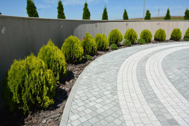 Best Custom Driveway Pavers  in Leachville, AR
